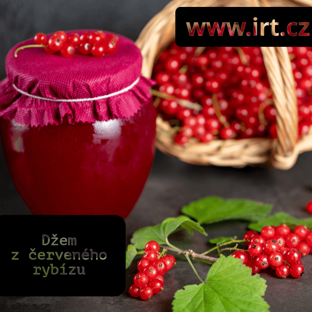 Domácí džem z červeného rybízu