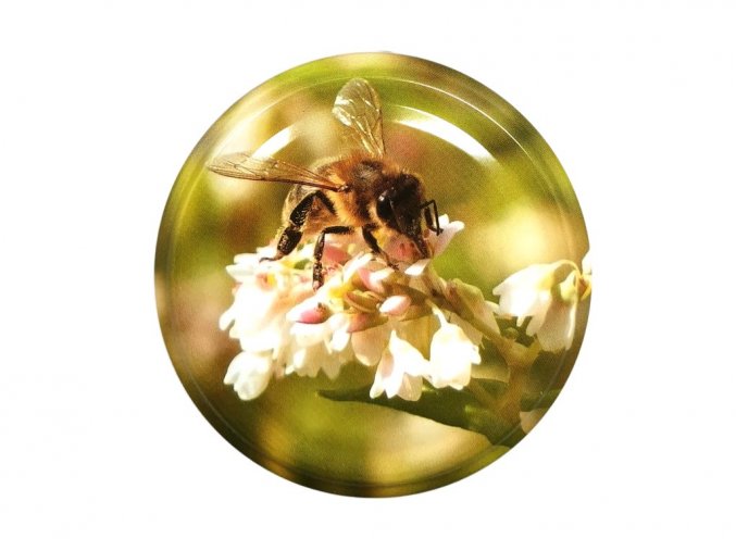 0587 včela na pohance víčko na sklenice
