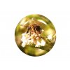 0587 včela na pohance víčko na sklenice