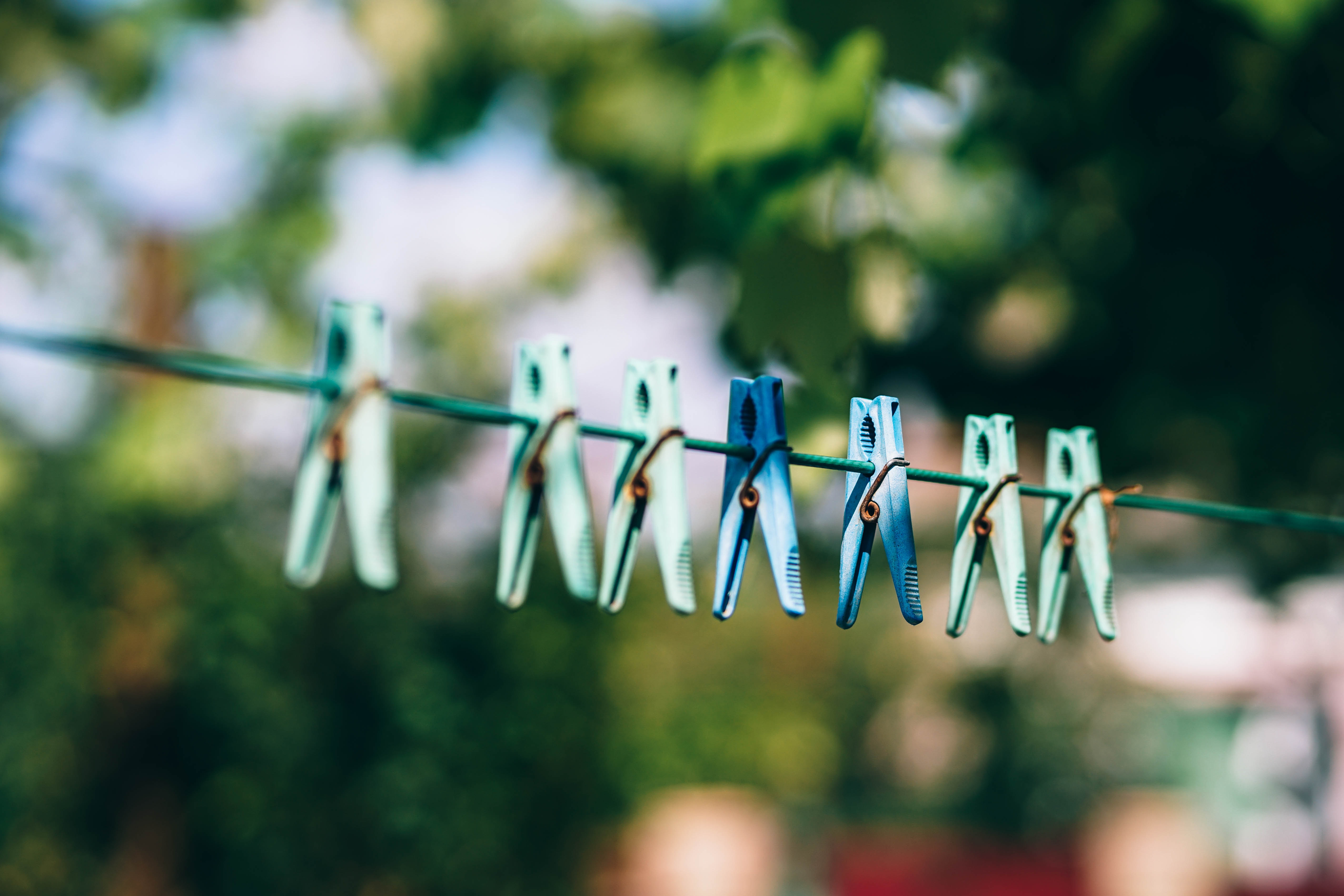 fancycrave-347298-unsplash