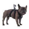 GoPro Fetch (Dog Harness) držák na psa Sjcam, Gopro, Gitup