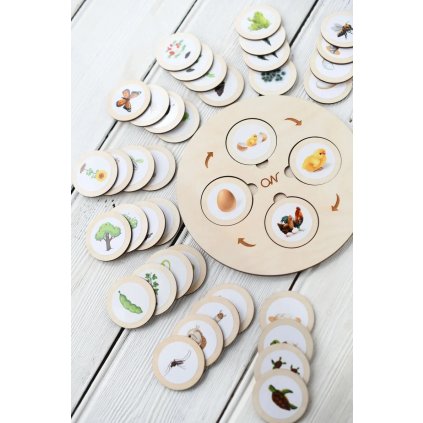 Životný cyklus zvierat a rastlín - vkladačka