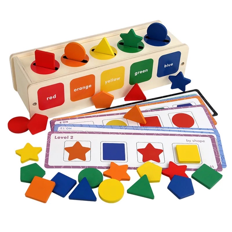 Iskay Montessori Dřevěná vkládačka Montessori s kartičkami - tvary a barvy