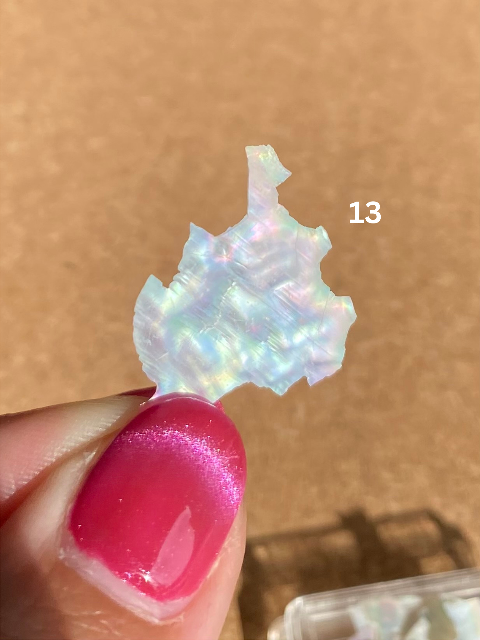 Iskay Drcené perleťové lastury VARIANTA: 13