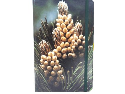 Střední diář (M) 20261 tinified