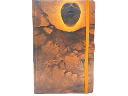 Střední diář (M) 2026