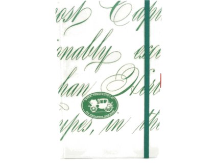 Střední diář (M) 2026