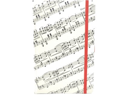 Střední diář (M) 2026