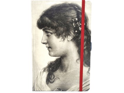 Střední diář (M) 2026