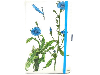 Střední diář (M) 2026