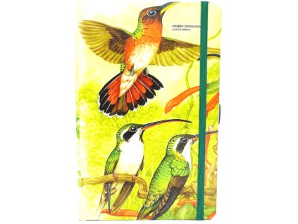 Střední diář (M) 2026