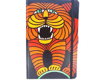 Střední diář (M) 2026