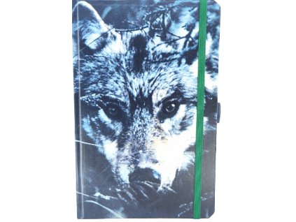 Střední diář (M) 2026