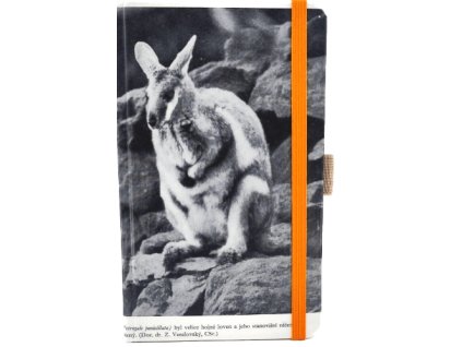 Kapesní diář (S) 2026