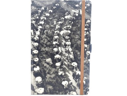 Střední diář (M) 2026