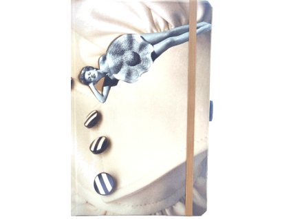 Střední diář (M) 2026