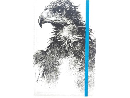 Střední diář (M) 2026