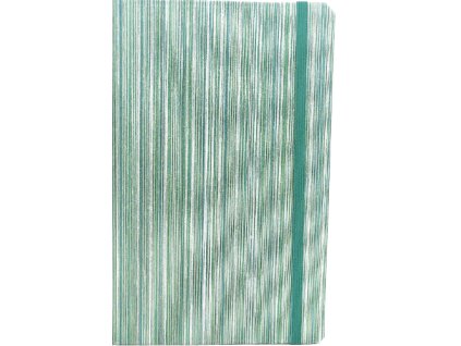 Střední diář (M) 2026