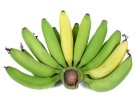 BIO Canary bananas  bananas from our island of La Palma