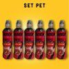 SET PET 6 Carnitine