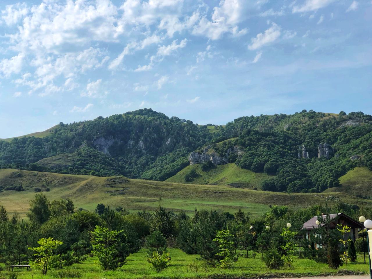 Specifika Kavkazu a jeho dřeva pro podlahová prkna
