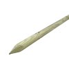 Kůl se špicí 40x1200 mm Ispas 1 1 1