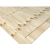 Voděodolná překližka stavební 12 18 x 1220 x 2440 mm BOROVICE Topol (C D) Ispas 1