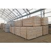 Terasová prkna 26 x 130 x 2500 mm Borovice/Smrk (BC)