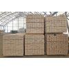 Terasová prkna 26 x 130 x 2500 mm Borovice/Smrk (BC)