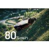 Mammotion LUBA 3 AWD 5000
