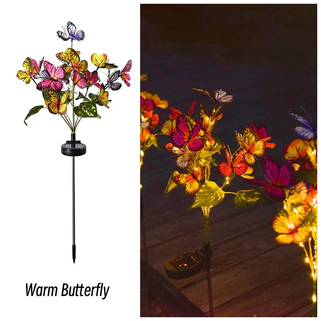 warm butterfly