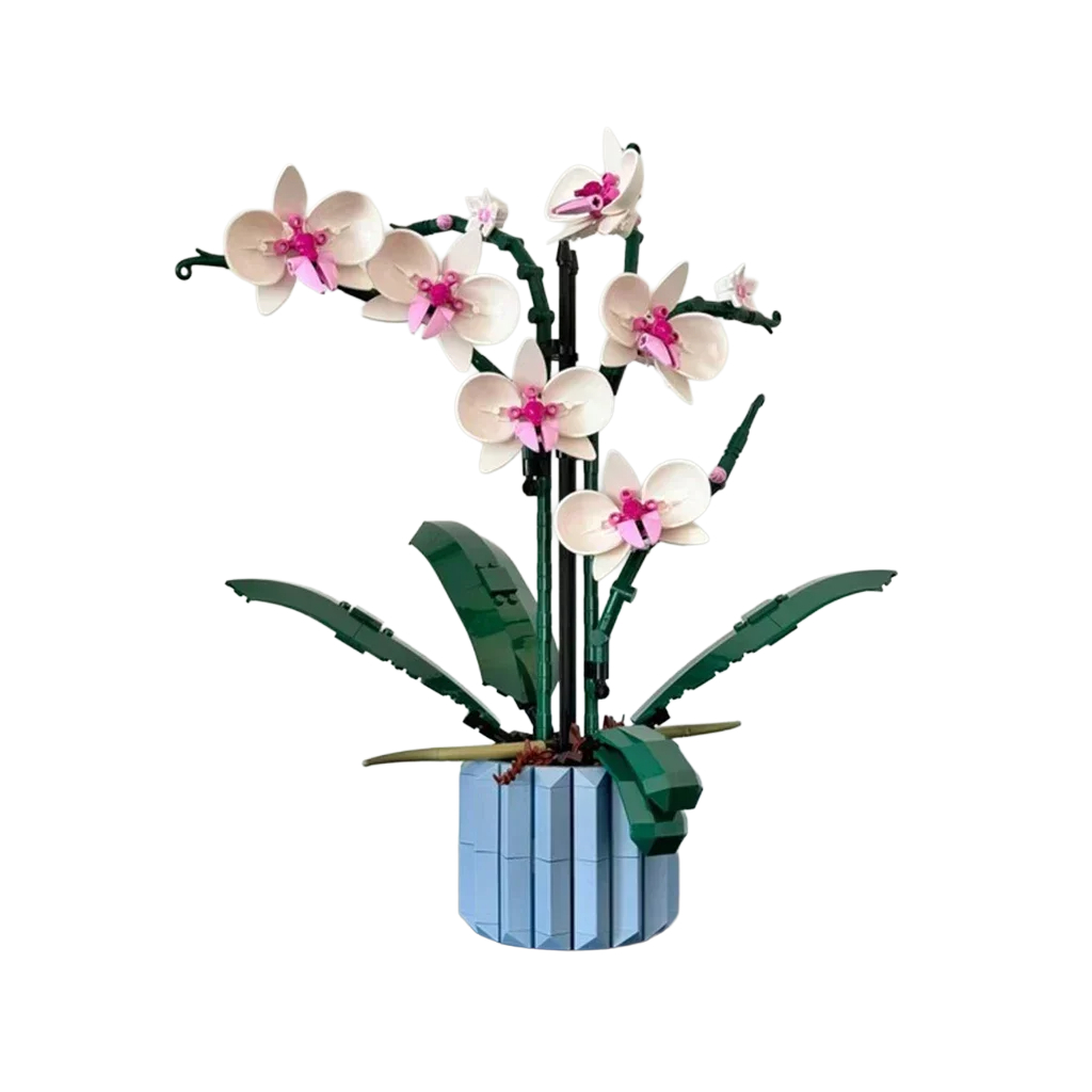 orchidej
