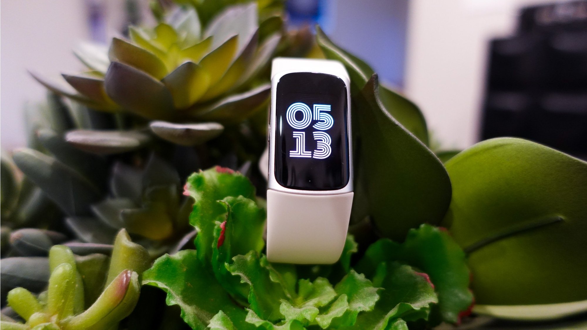 Recenze Fitbit Charge 6: Pixel Watch Lite