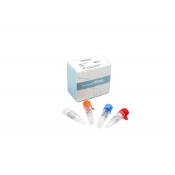 Monkeypox Real Time PCR Kit CE - IVD