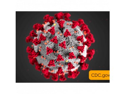 Novel Coronavirus 2019-nCoV Real Time Multiplex RT – PCR Kit Detection for 3 Genes RR-0479-02