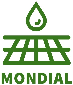 logo Mondial