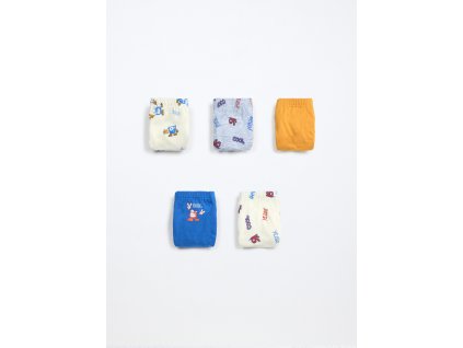Pack 5 slip in jersey di puro cotone bambino (Velikost 3-4 let (104 cm), Barva Modrá)