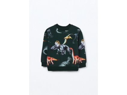 Felpa in cotone stretch bambino (Velikost 3-4 let (104 cm), Barva Zelená)