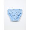 Pack 7 slip in jersey di puro cotone bambino (Velikost 2-3)