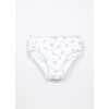 Pack 7 slip in jersey di puro cotone bambina (Velikost 2-3)