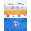 Pack 5 slip in jersey di puro cotone bambino (Velikost 3-4 let (104 cm), Barva Modrá)
