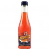 myspritz ready to drink 0,2l