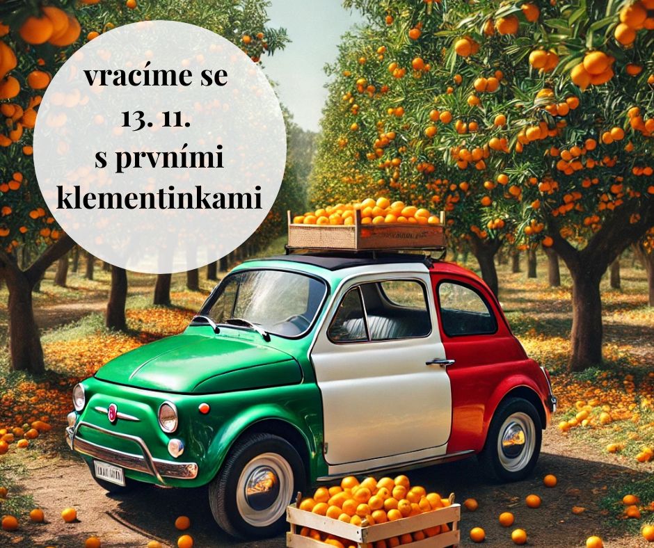 VRACÍME SE 12.11.