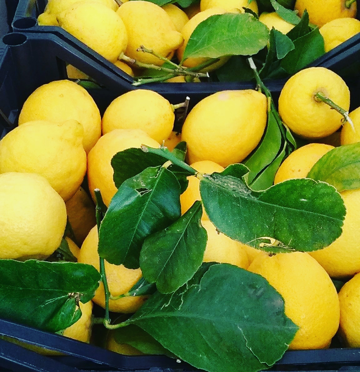 IMG_20210126_161446_608