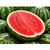 ChatGPT Image 3. 6. 2026 16 42 59