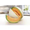 melone honemoon