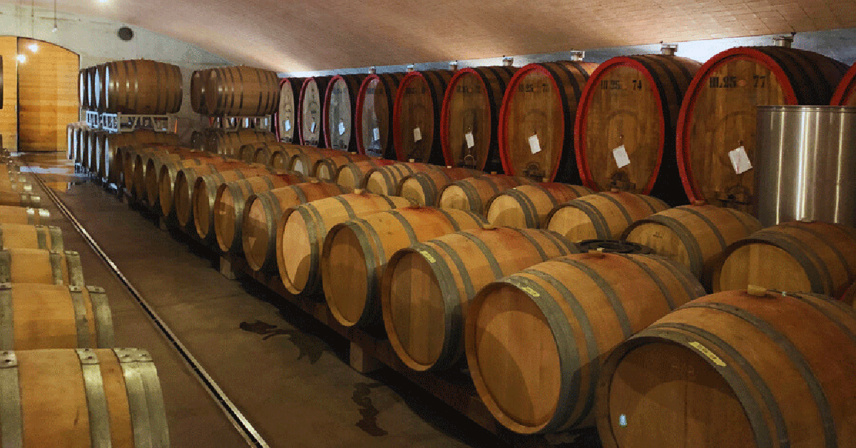 Vinařství Bonotto delle Tezze