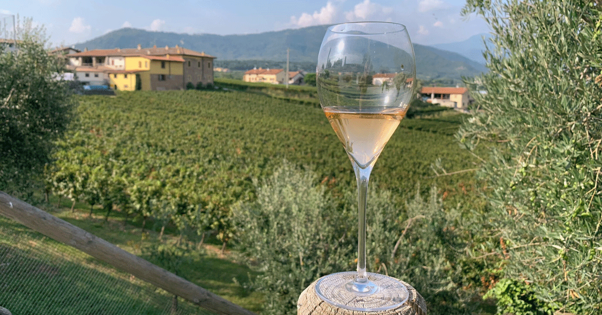 Prosecco a Franciacorta: Poznejte chuť dvou nejznámějších italských šumivých vín