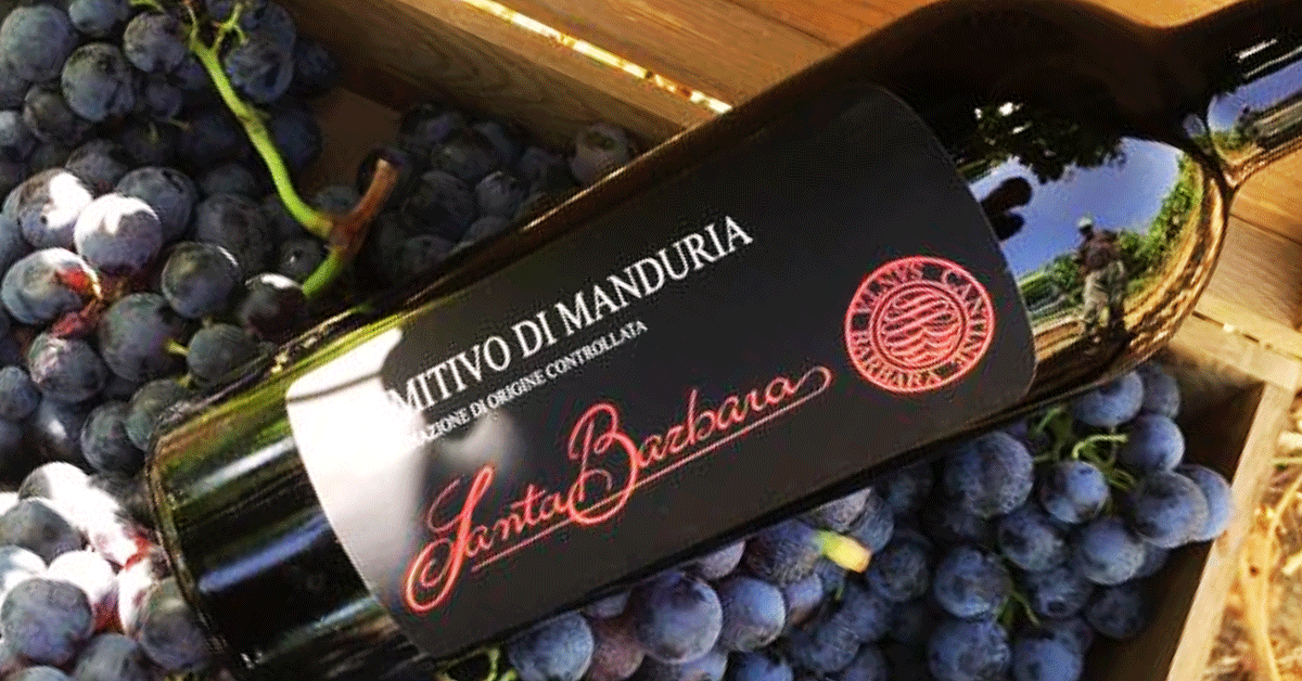 Primitivo, oblíbené víno z jihu Itálie