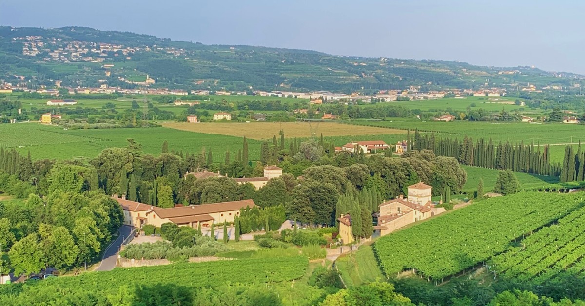Valpolicella, poklad mezi veronskými vinicemi
